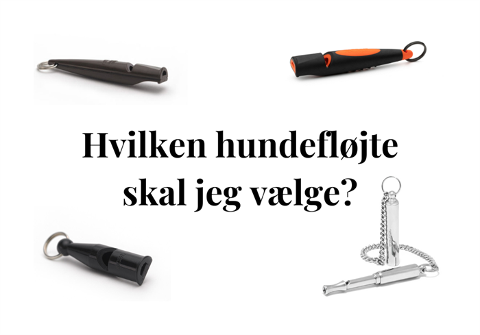 Hvilken hundefløjte skal jeg vælge?